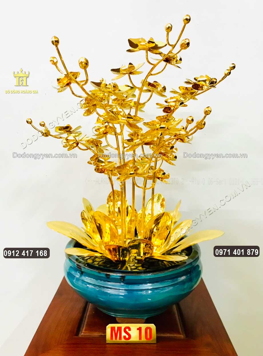 Mẫu chậu hoa Lan 10